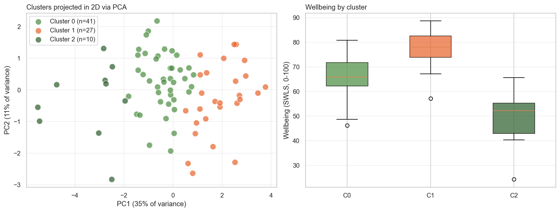 Profiles of young people — cluster analysis